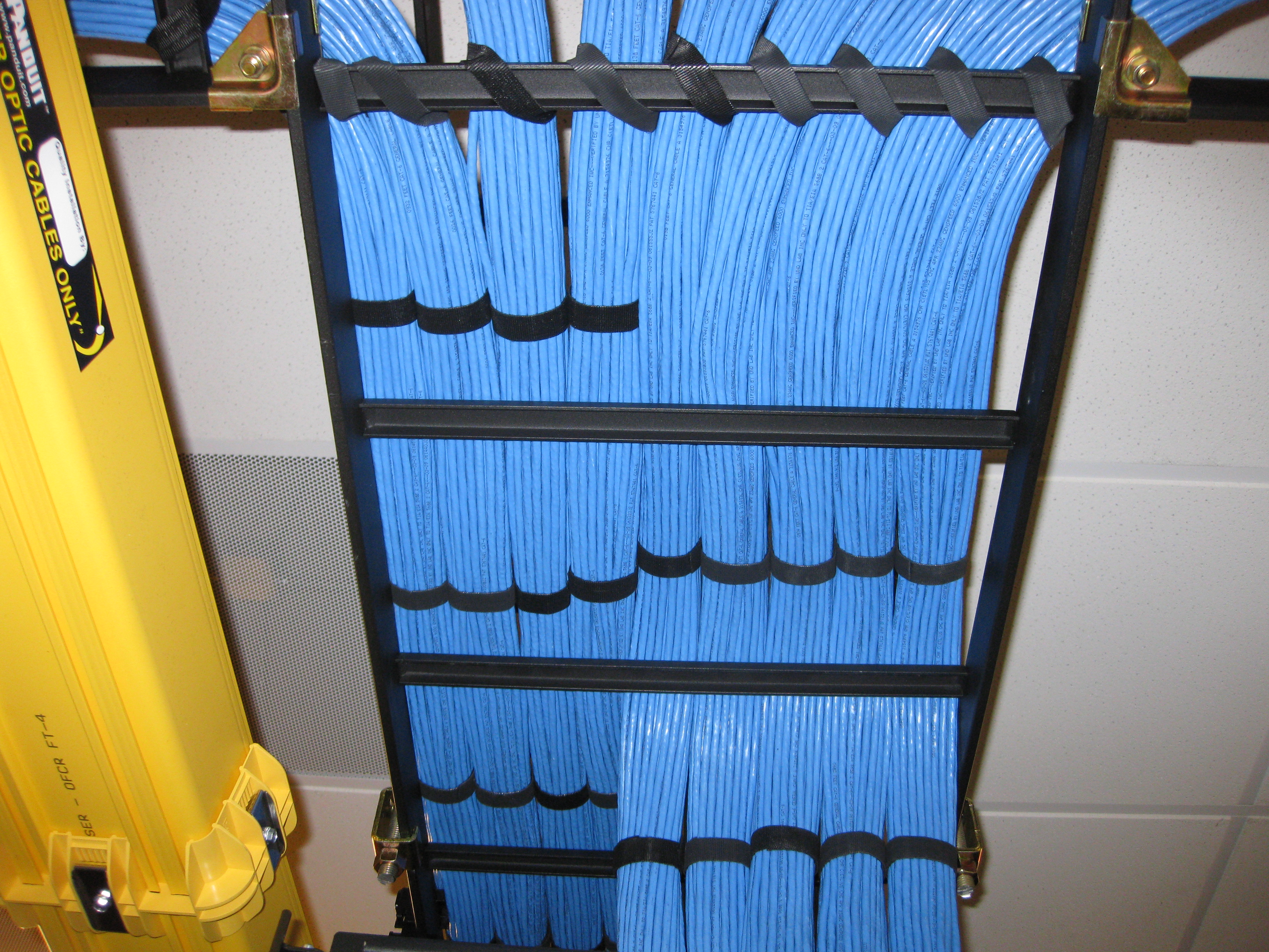 Bundles of blue Cat6 cable strapped to a ladder rack above a ceiling.